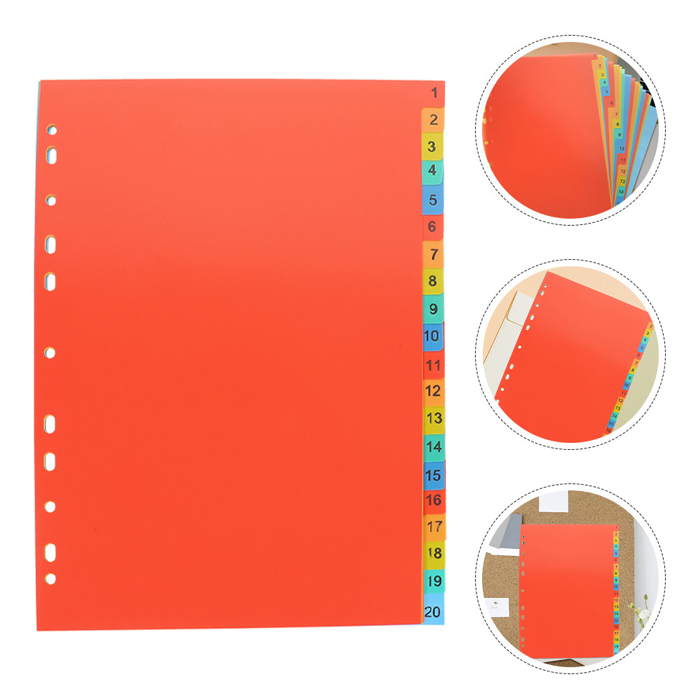 2 Set Pembatas Indeks Plastik  - Tab Divider A4 ulasan dan harga